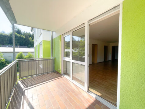 Gemütliche 2-Zimmer Wohnung mit Balkon in Klingenthal, 08248 Klingenthal, Wohnung